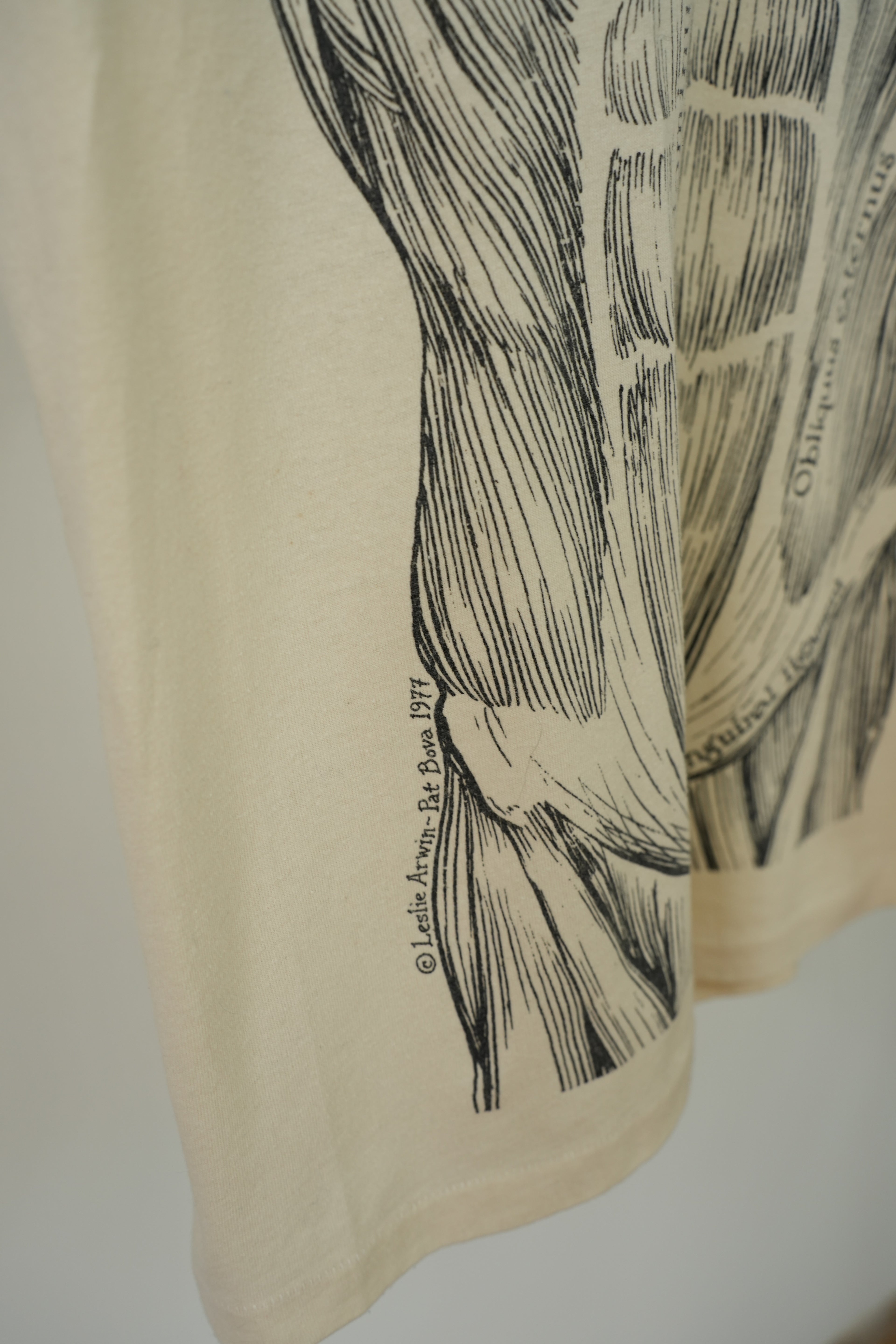 1977 Leslie Arwin Muscle Diagram T-shirt
