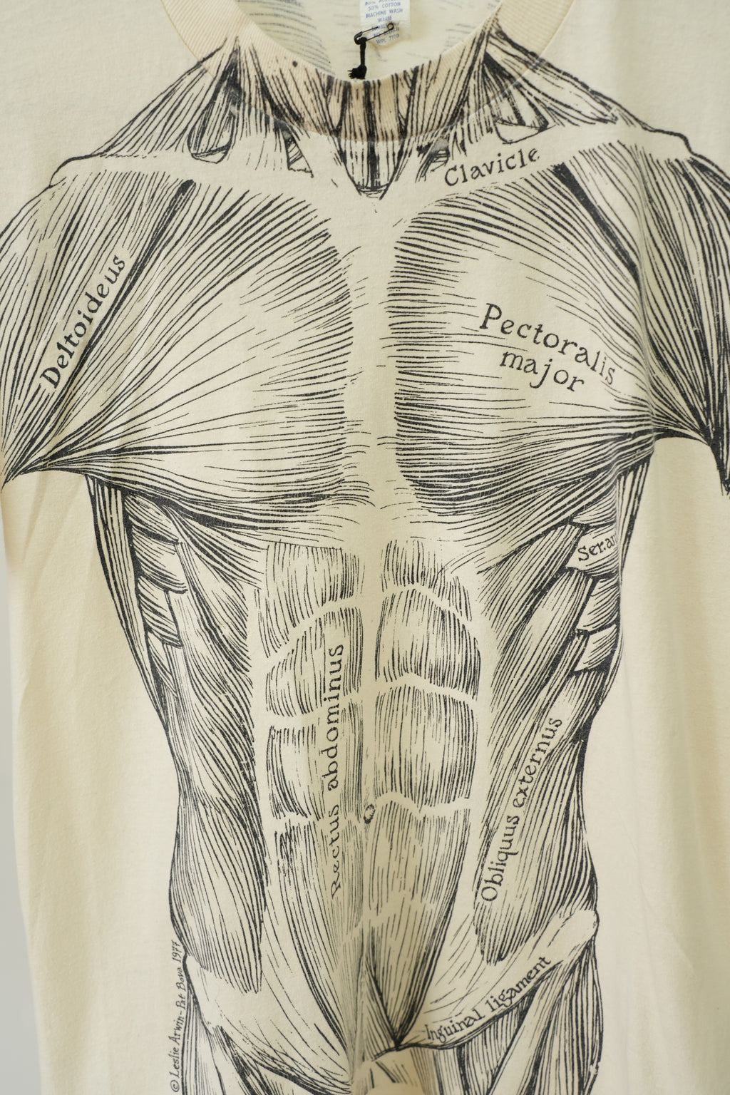 1977 Leslie Arwin Muscle Diagram T-shirt