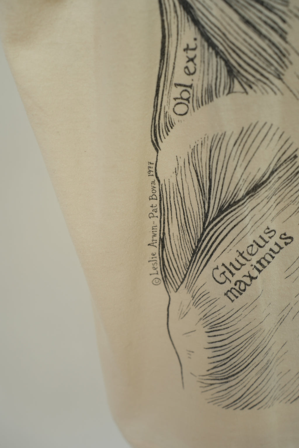 1977 Leslie Arwin Muscle Diagram T-shirt