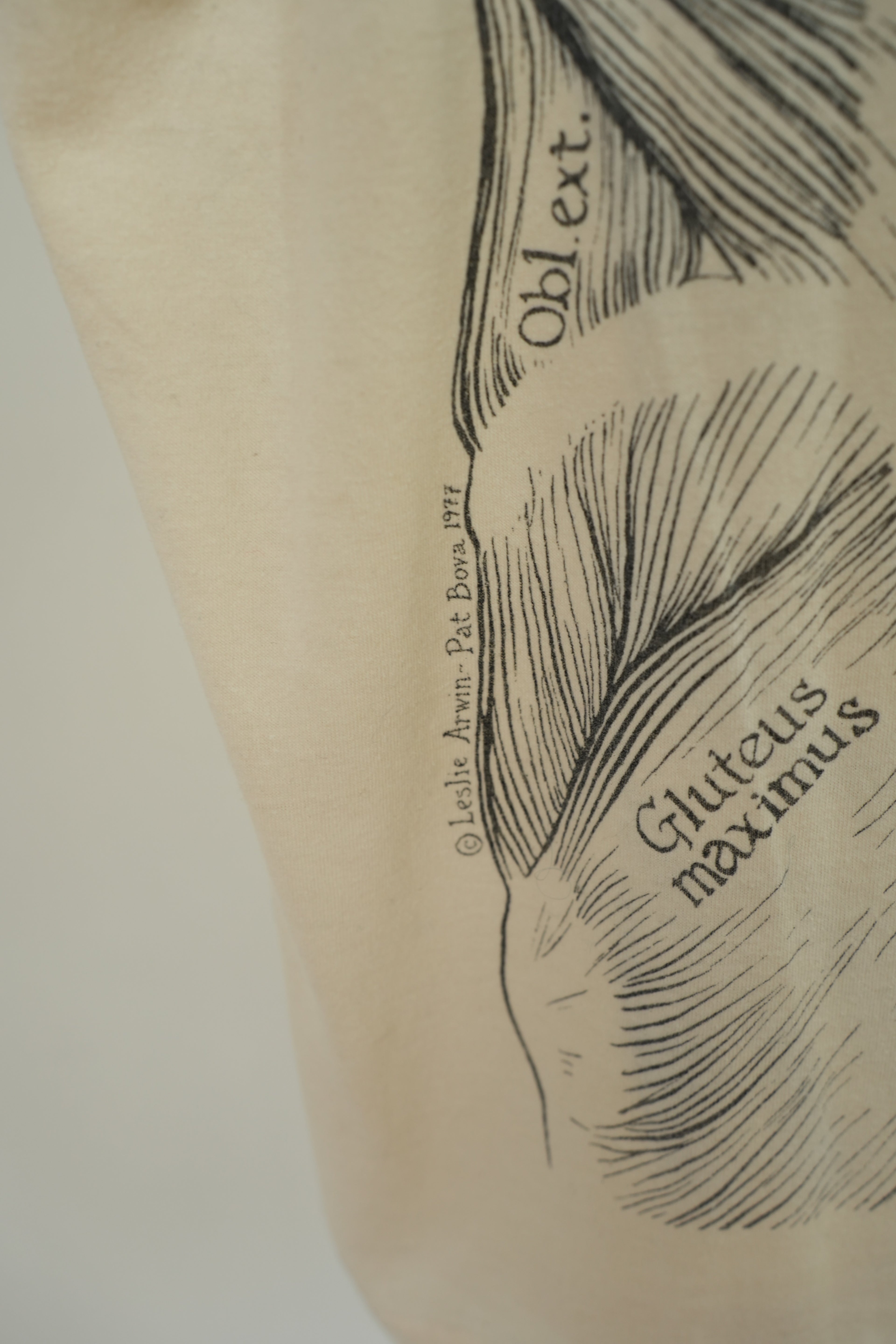 1977 Leslie Arwin Muscle Diagram T-shirt