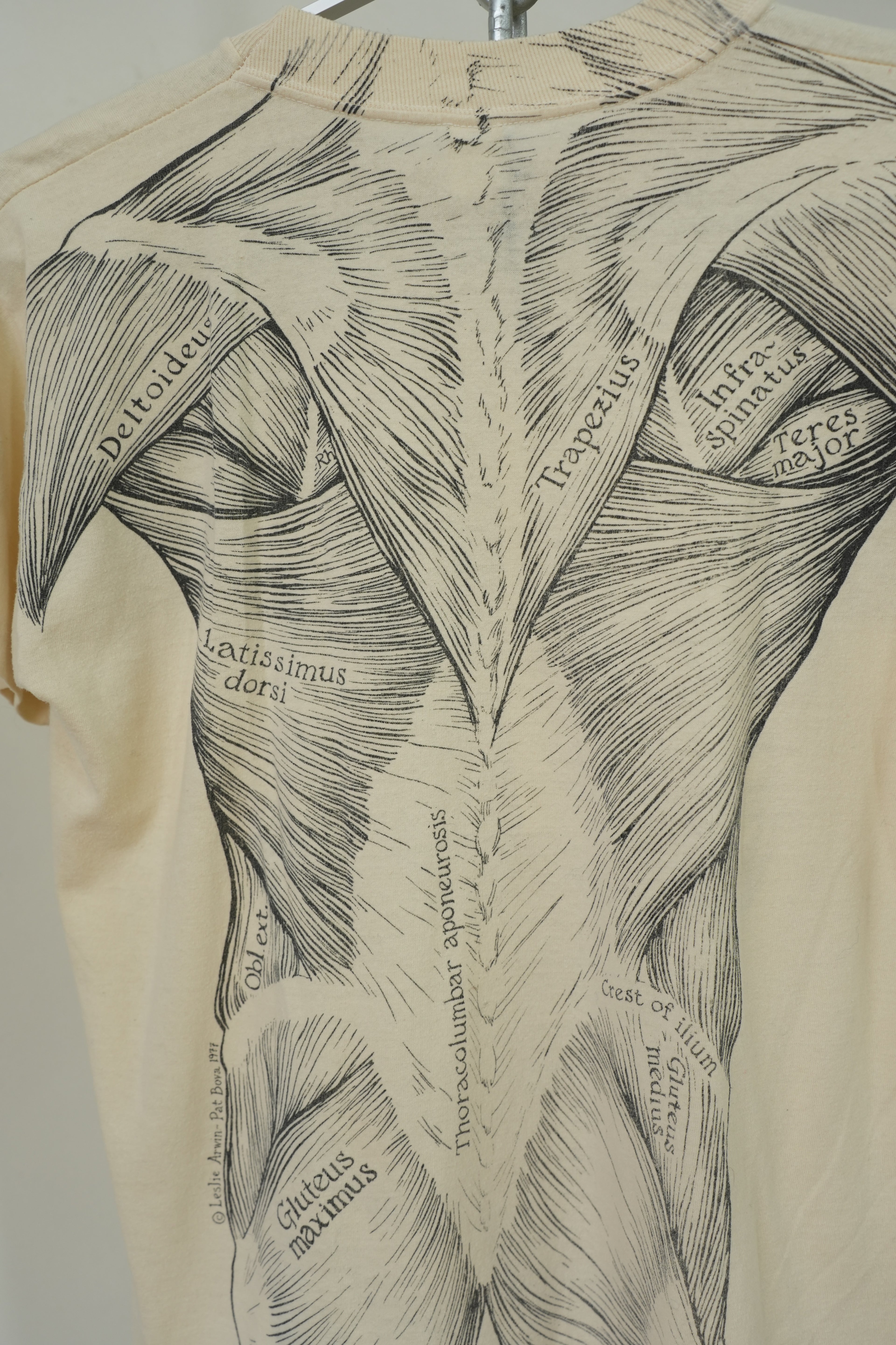1977 Leslie Arwin Muscle Diagram T-shirt